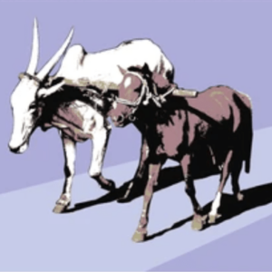 In the world, but belonging to God